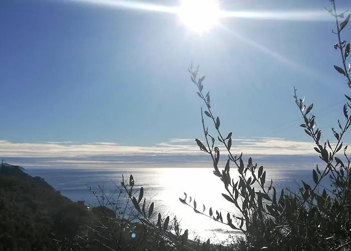1 Bedroom Amazing In Zoagli *