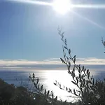 1 Bedroom Amazing In *