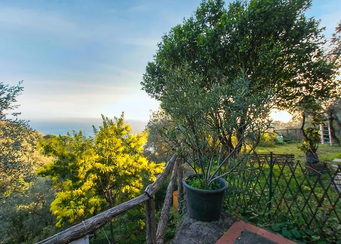 1 Bedroom Amazing In Zoagli *